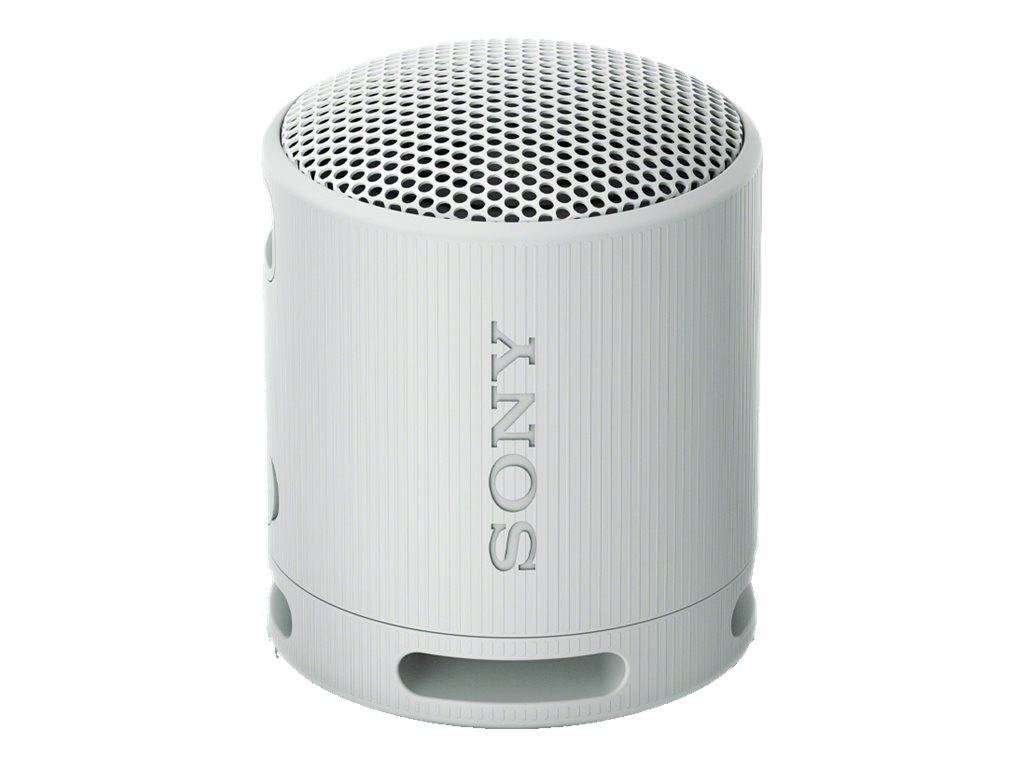 SRS-XB100 Speaker Grey