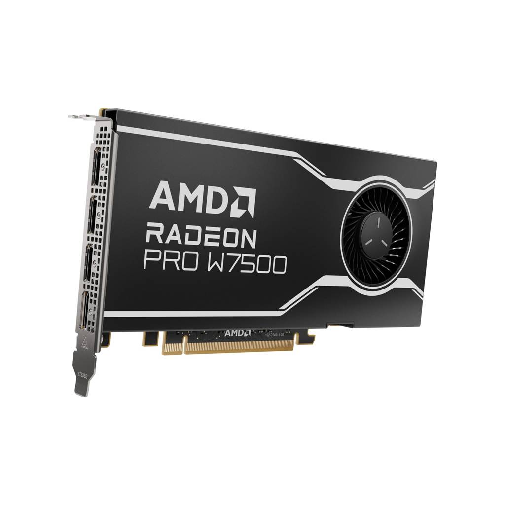 AMD Radeon Pro W7500 - Grafikkarten - Radeon Pro W7500
