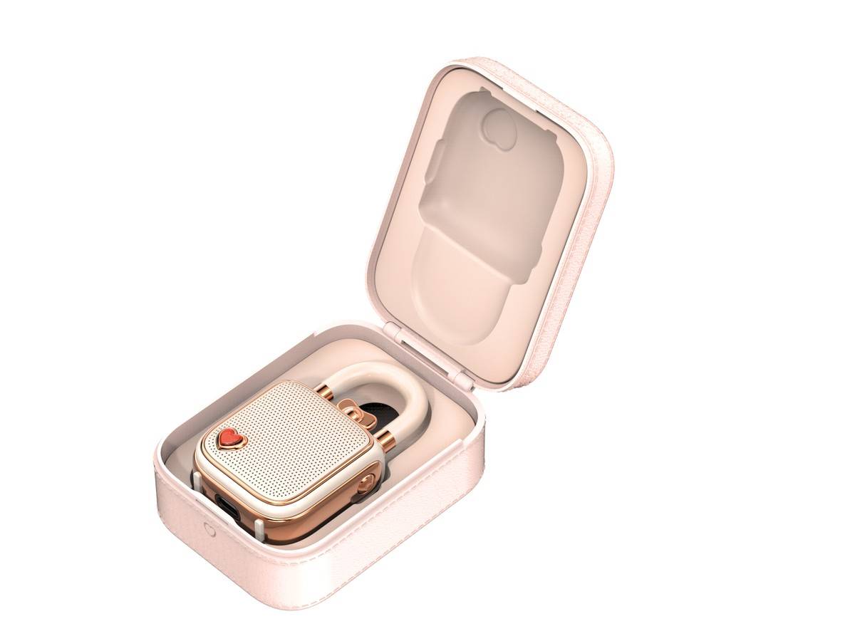 DIVOOM LoveLock BT Speaker mit Mikro pink