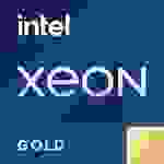 Intel Xeon Gold 6438Y+ processor CPUs
