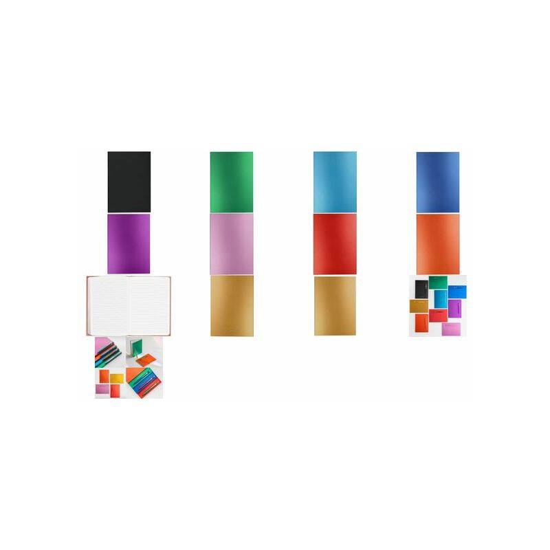 CARAN D'ACHE Notizbuch COLORMAT-X, DIN A5, liniert, rosa