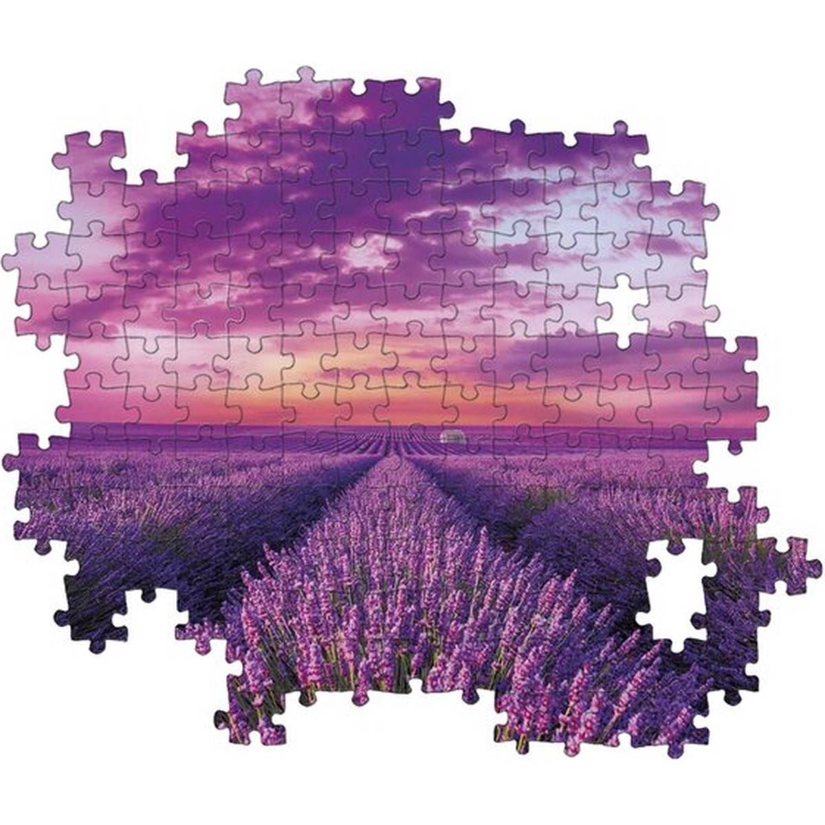 Clementoni 98450 - Puzzle - Lavendel Feld (1000 Teile) Puzzel Landschaft
