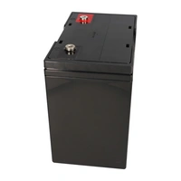 18x USV Akku WPL55-12N 12V 55Ah 18x USV Akku WPL55-12N 12V 55Ah