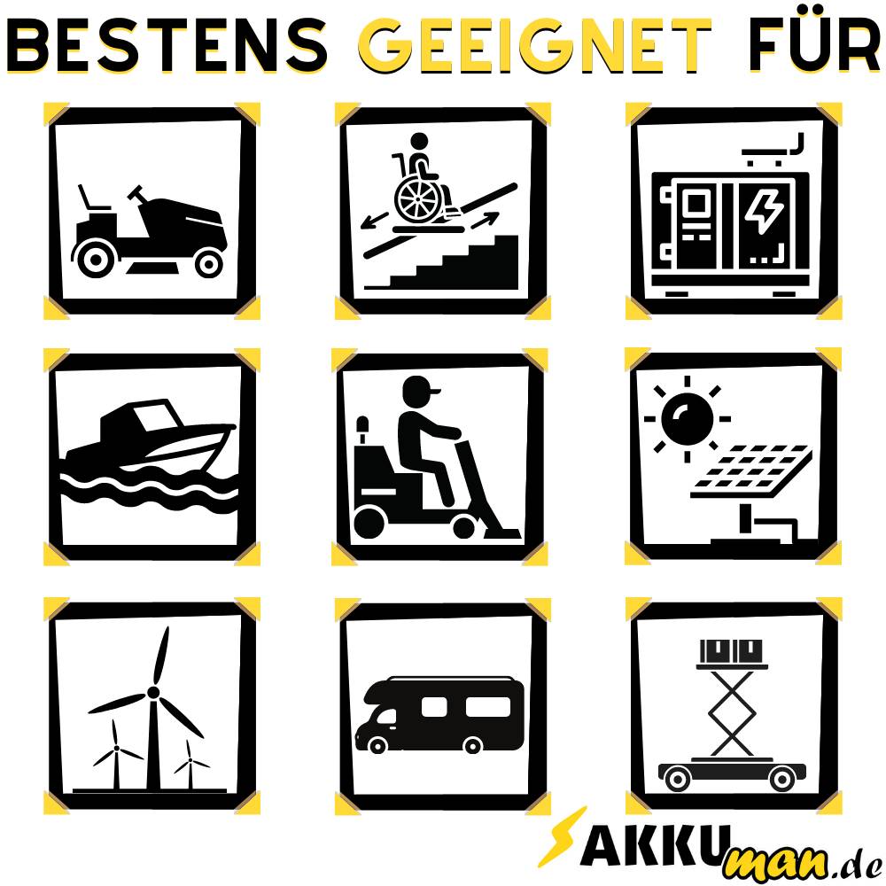 Ersatzakku f. Sopur E140 E155 E160 Power 2x Bleiakku 12LC-75 M6 12V 75Ah MP