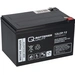 1x Akku 12V-13Ah Pb Batterie Bleigel 12LCP-12 QB 1x Akku 12V-13Ah Pb Batterie Bleigel 12LCP-12 QB
