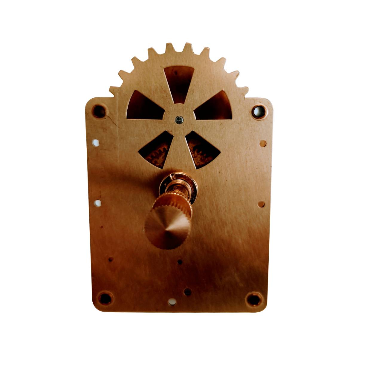 SELVA Netz-Synchronwerk G 2.0, ZWL inkl. Schraube 36mm, 230V / 50 Hz / 3W