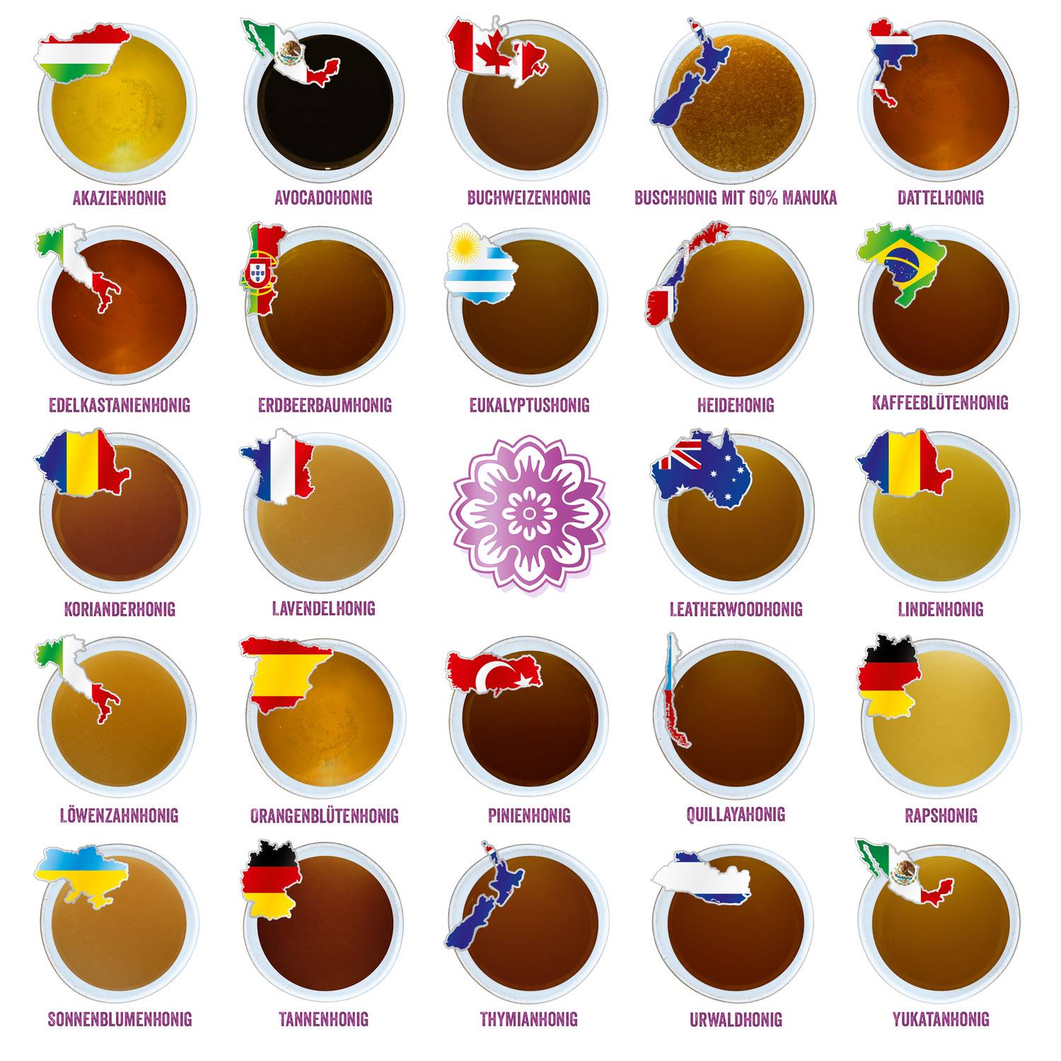 Corasol Premium Honig-Weltreise Adventskalender (1200 g)