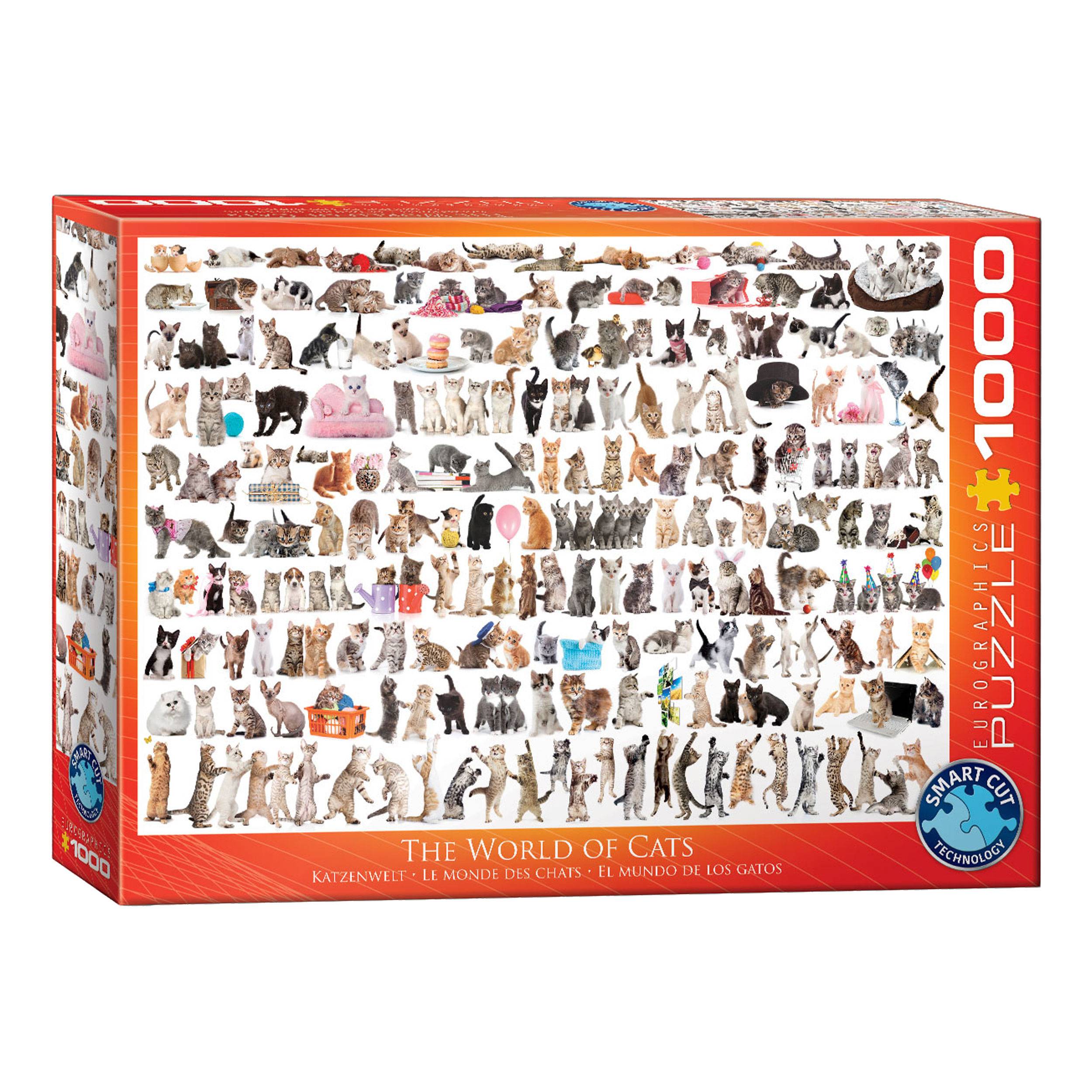Eurographics Puzzle Katzenwelt, Katzen Sammelbild, 1000 Teile, 68 x 48 cm, 6000-0580