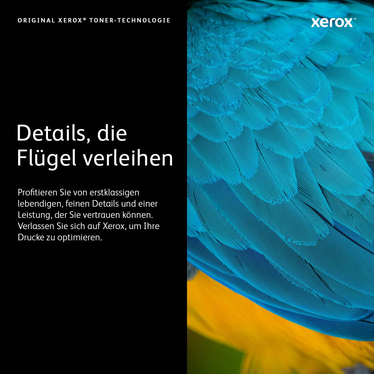 Xerox-Anzeige mit deutschem Text „Details, die Flügel verleihen