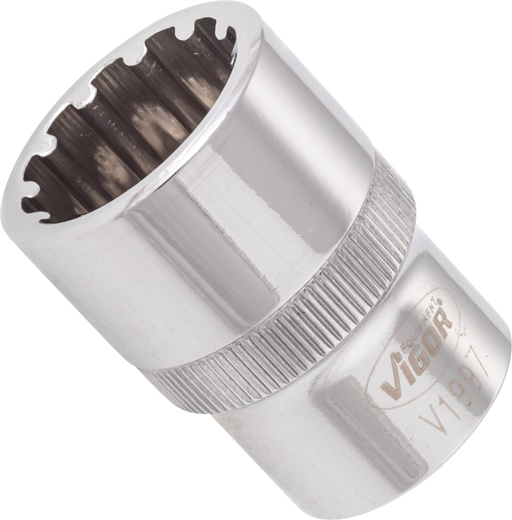 VIGOR Multiprofil Steckschlüsseleinsatz ∙ V1997 ∙ Vierkant hohl 12,5 mm (1/2 Zoll) ∙ Multiprofil ∙ 19 mm