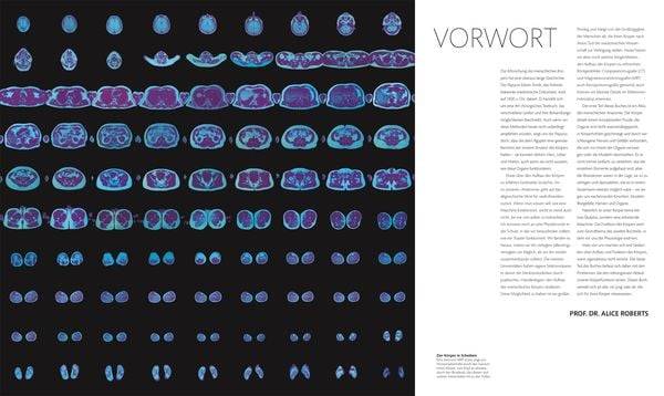 Anatomie und Physiologie