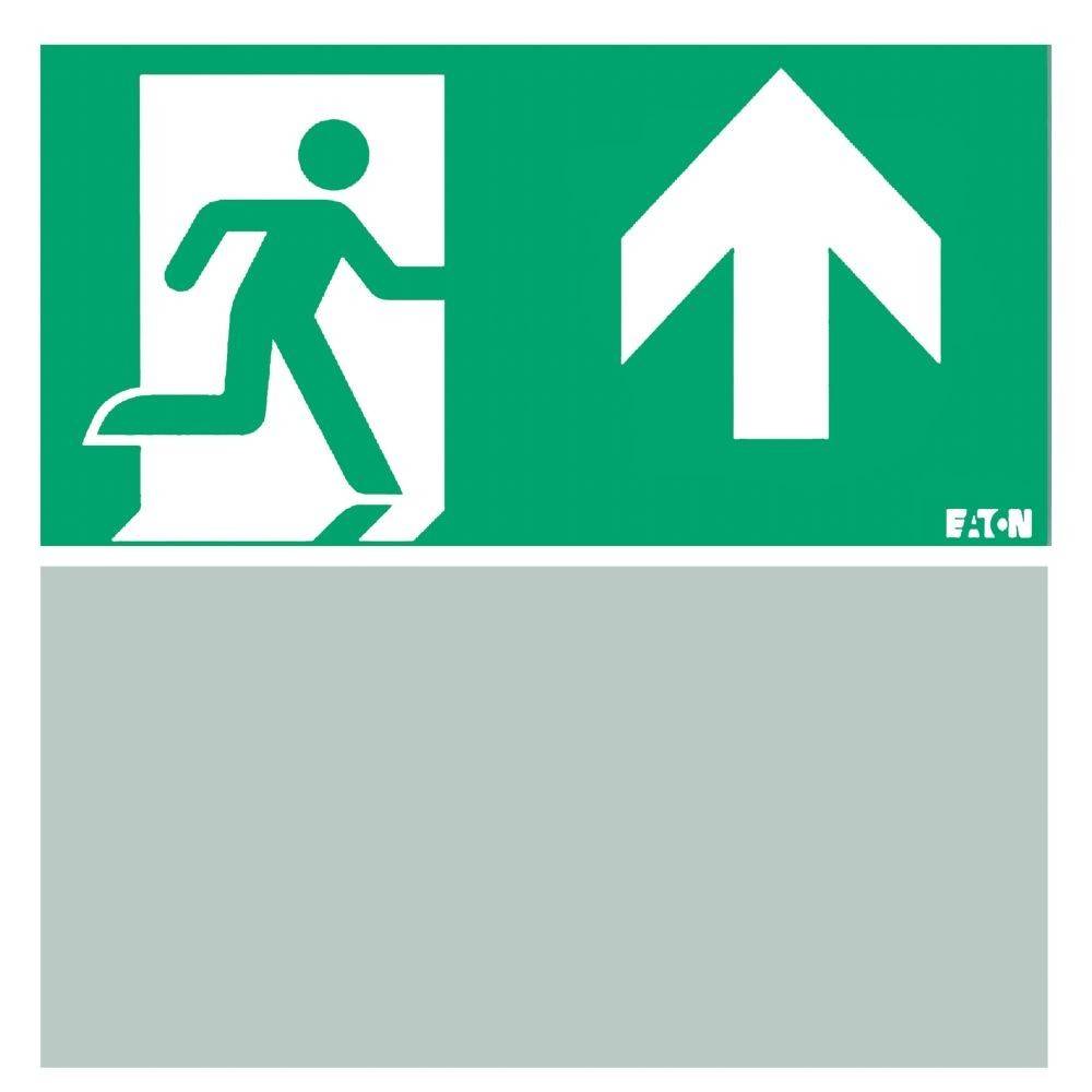 Ceag Notlichtsysteme Piktogramm 40071354516