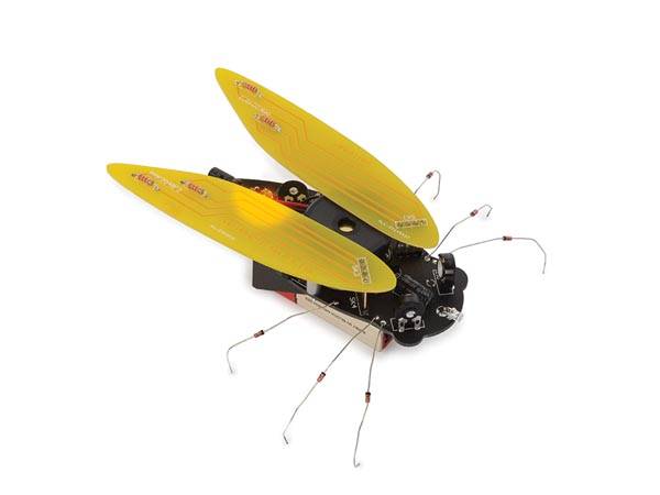 ELEKTRONISCHE ZIKADE