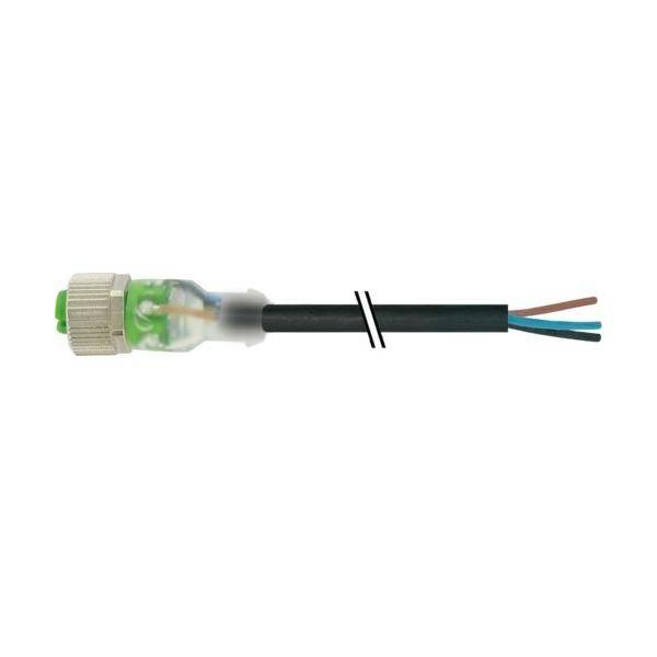 Lichtwellenleiterkabel mit Stecker auf der linken Seite und freiliegenden braunen und blauen Drähten auf der rechten Seite, gezeigt vor weißem Hintergrund.