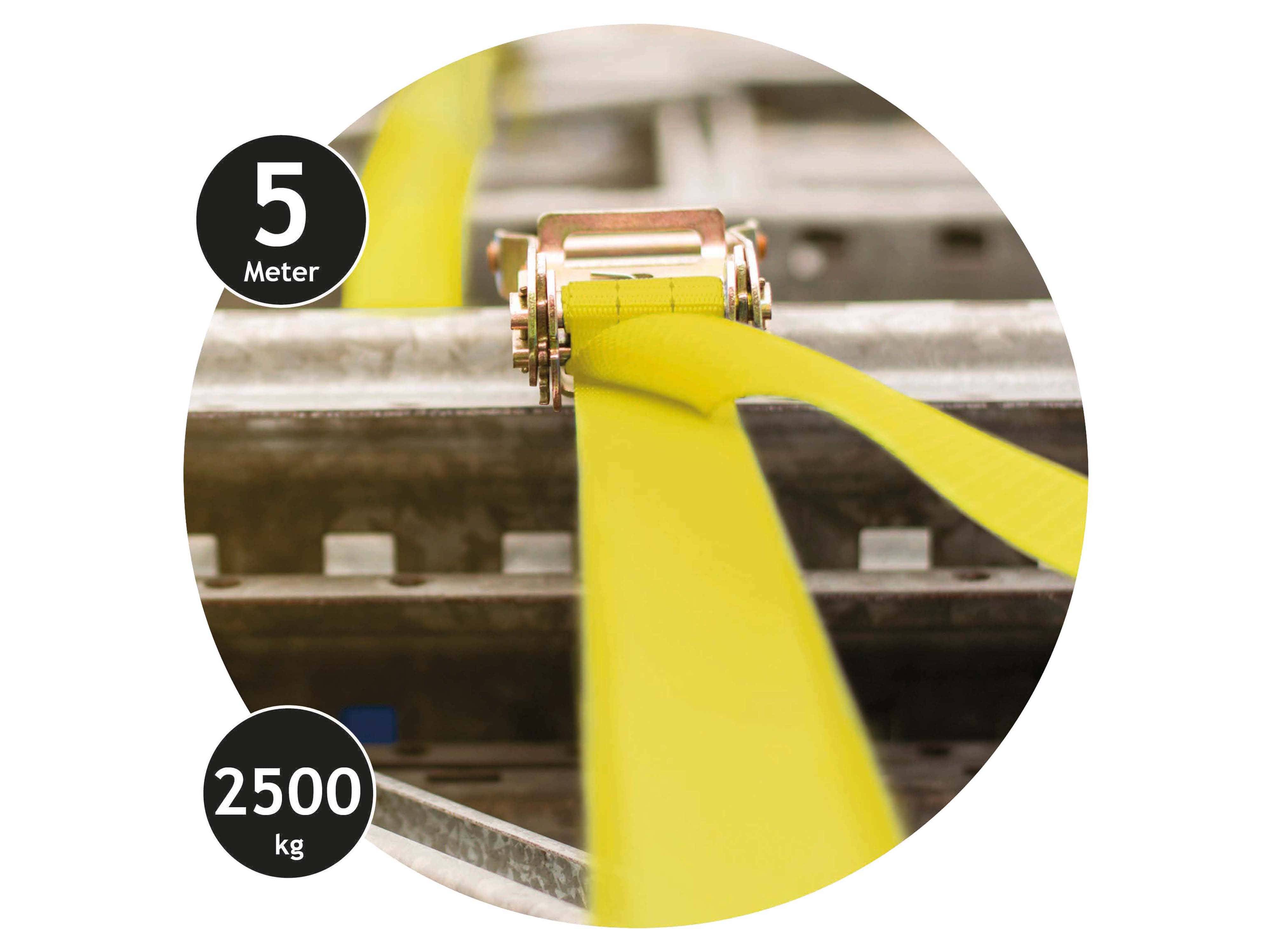 DUNLOP Spanngurt mit Ratschenschloss, 2500 kg, 5 m