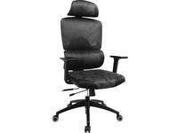 Sandberg ErgoFusion Pro - Gaming-Sessel - ergonomisch