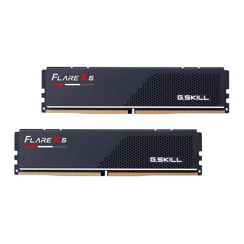 Zwei G.Skill Flare X5 RAM-Module mit schwarzen Kühlkörpern werden gezeigt.