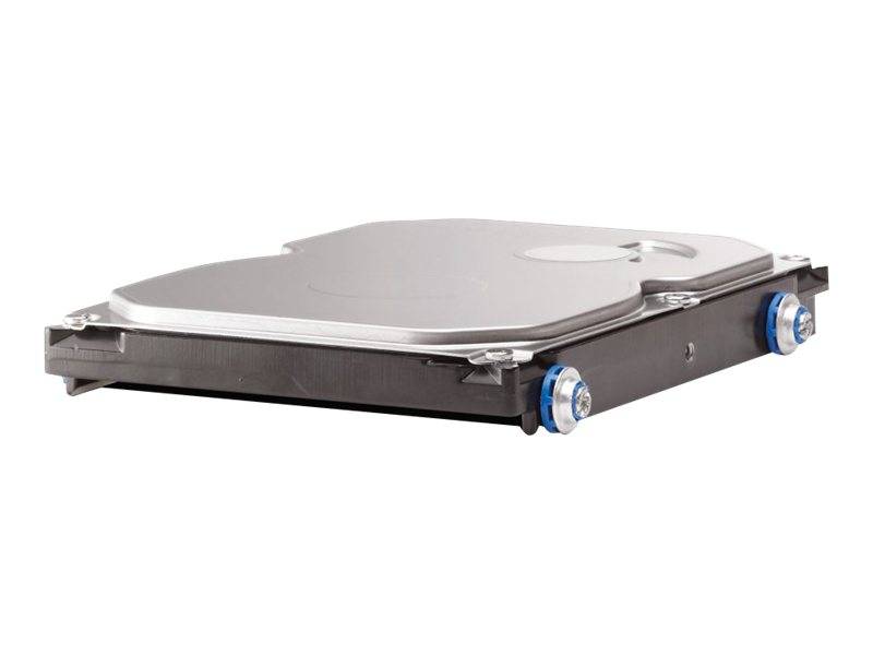 HPE - Festplatte - 250 GB - Hot-Swap - 3.5" (8.9 cm)