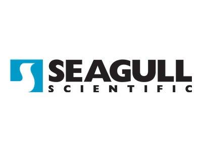 Seagull Scientific Seagull Standard Maintenance and Support - Technischer Suppor