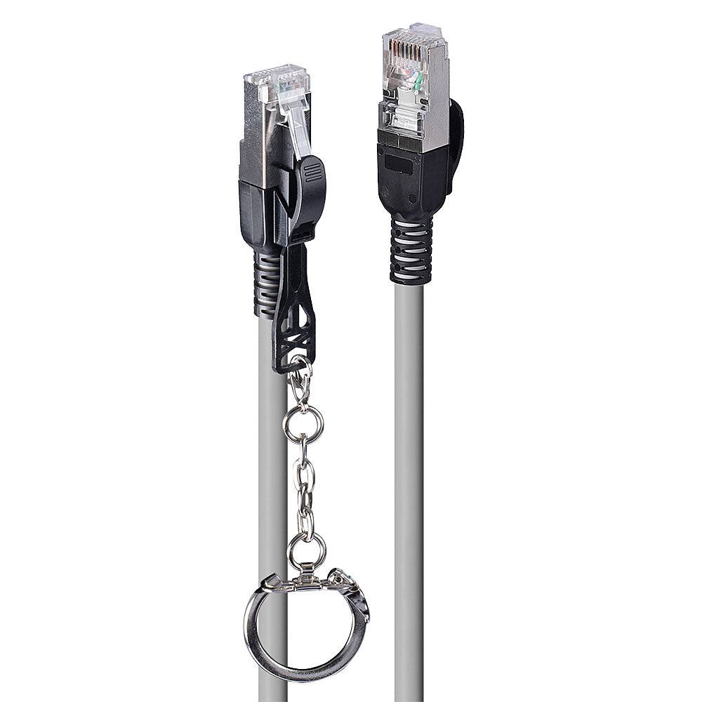 Zwei Ethernet-Kabel mit RJ45-Steckern, eines davon mit einem Schlüsselring und einer Kette ausgestattet, auf weißem Hintergrund dargestellt.