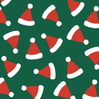 Clairefontaine Geschenkpapierrolle 50x0,70m, Weihnachtsmütze Grün 211947C Clairefontaine Geschenkpapierrolle 50x0,70m, Weihnachtsmütze Grün 211947C