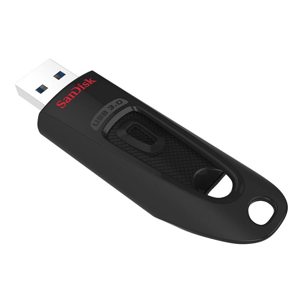 Ein schwarzes SanDisk-USB-Speicherlaufwerk mit blauem USB-Anschluss. Das Gehäuse weist ein rotes „SanDisk