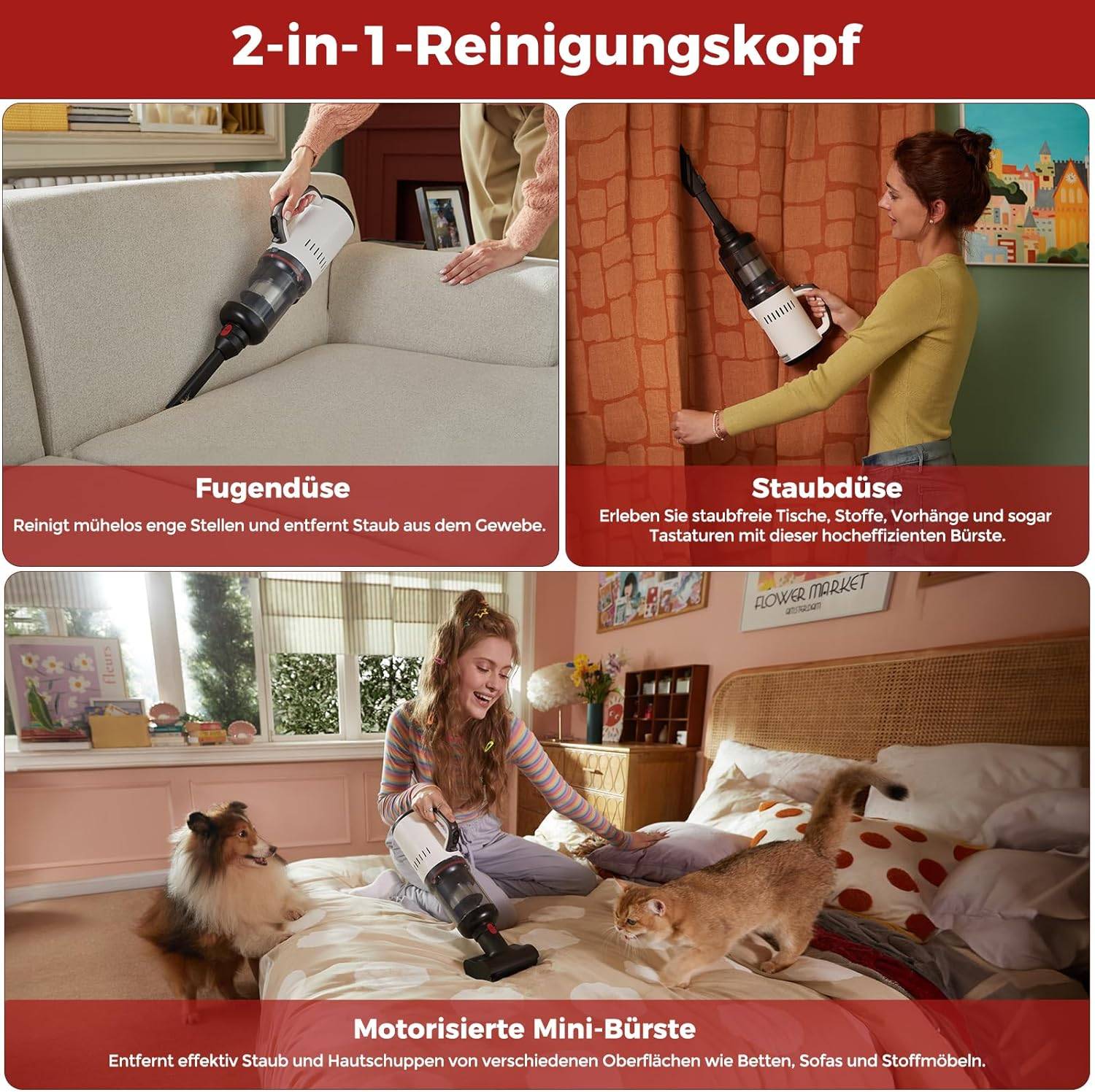 Roborock Nass-Trocken-Sauger Dyad Pro Combo