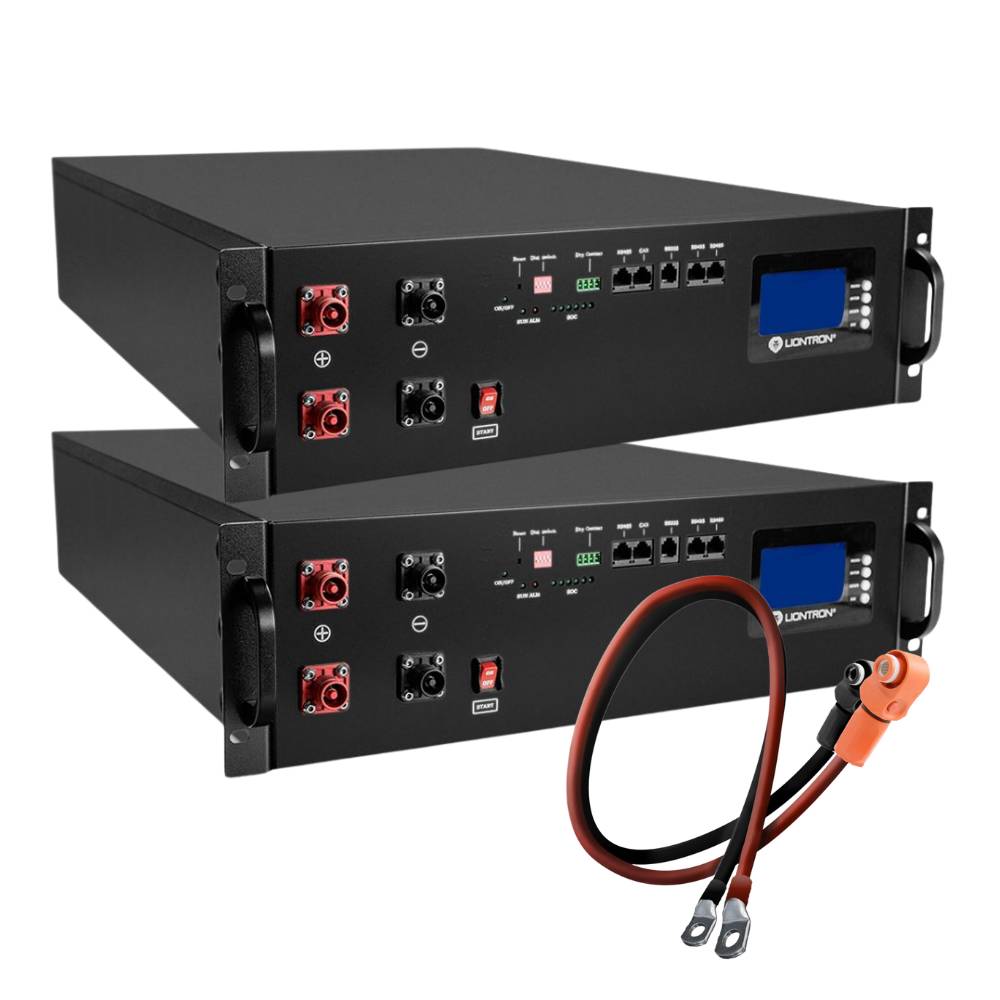 2x LIONTRON LiFePO4 Speicher LX48-100 - 48V 100Ah - 5,12 kWh mit BMS 110A mit 0% MwSt nach §12 Abs. 3 UstG