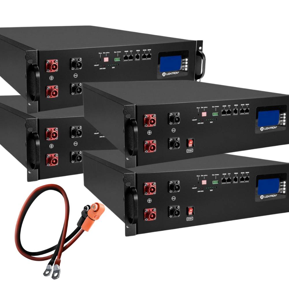 4x LIONTRON LiFePO4 Speicher LX48-100 - 48V 100Ah - 5,12 kWh mit BMS 110A mit 0% MwSt nach §12 Abs. 3 UstG