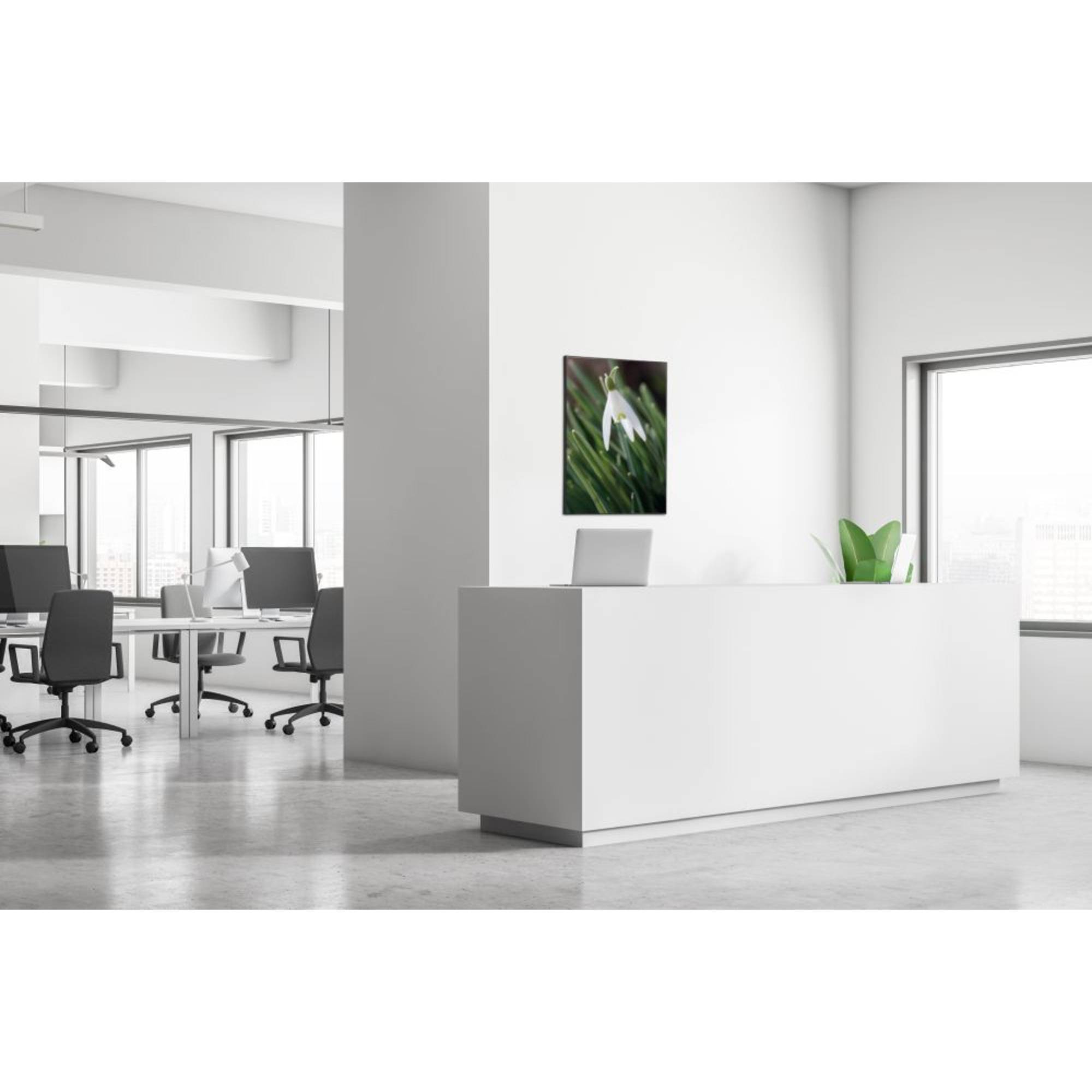 Showdown Wanddekoration Set A1 Weiße Blume Schneeglöckchen