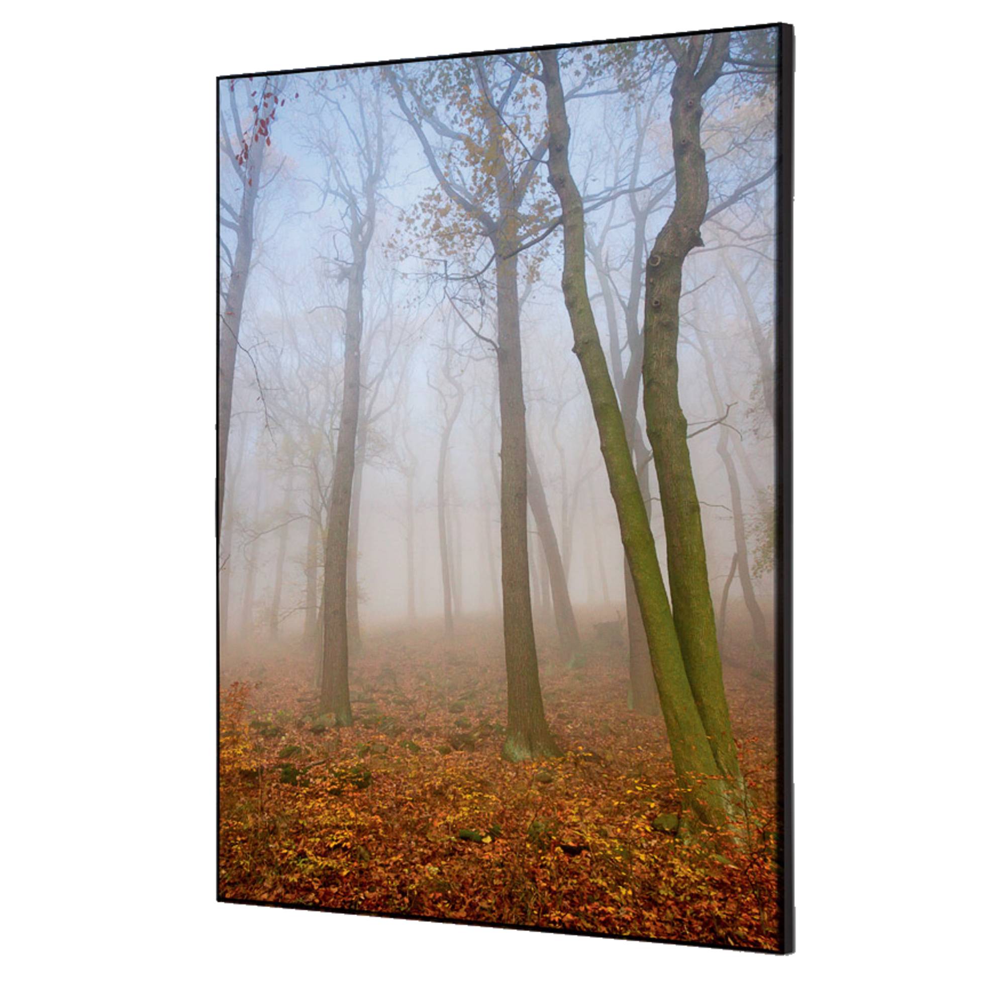 Showdown Wanddekoration Set A2 Herbstnebel