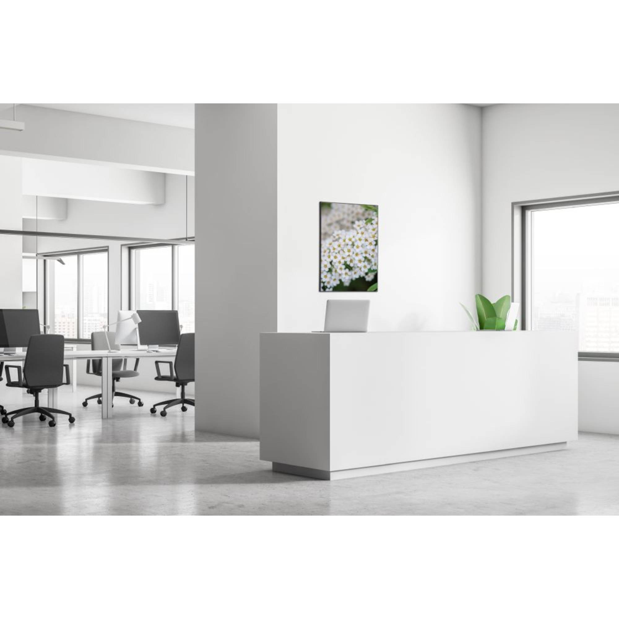 Showdown Wanddekoration Set A1 Weiße Blume Spirea