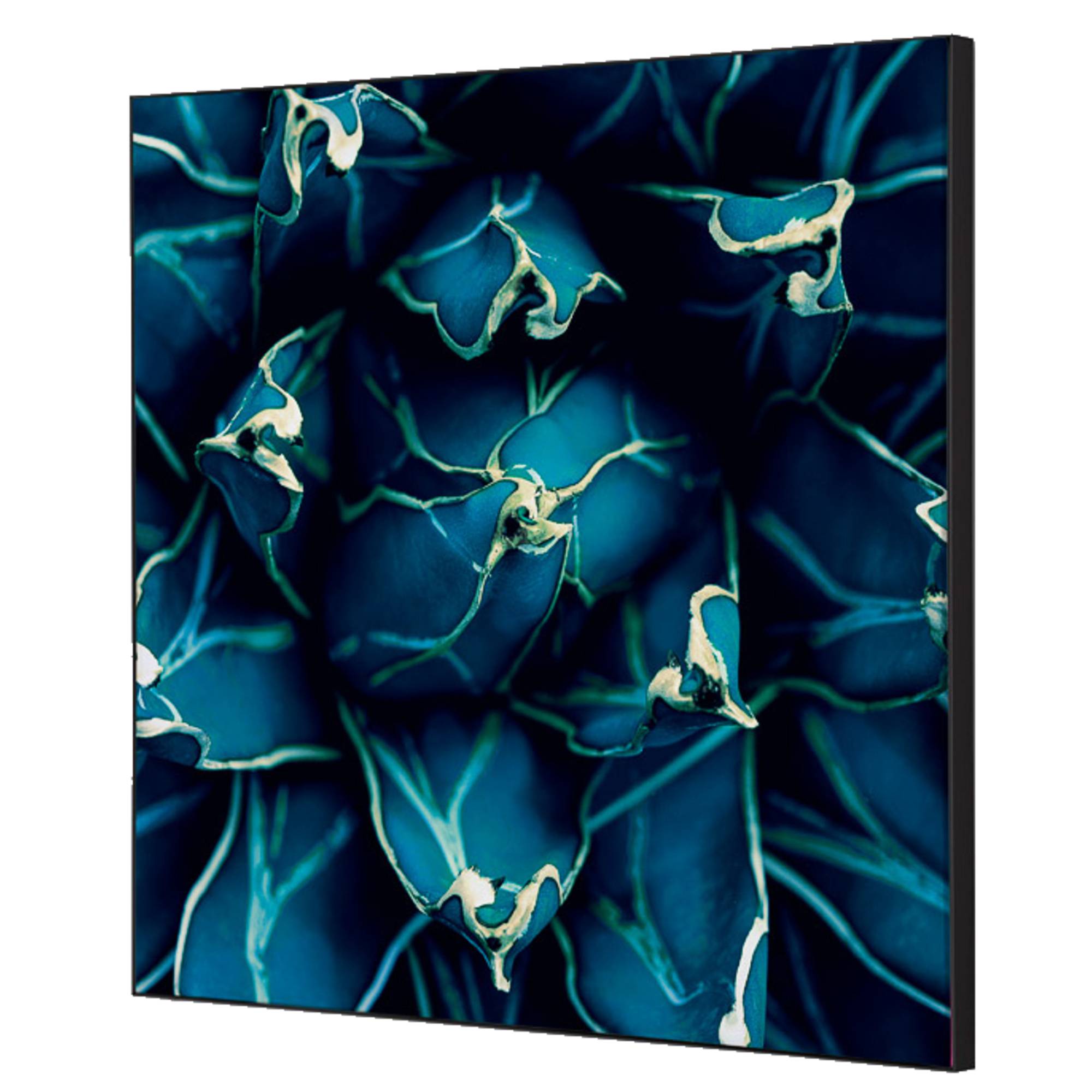 Showdown Wanddekoration Set 40x40cm Kaktus bl