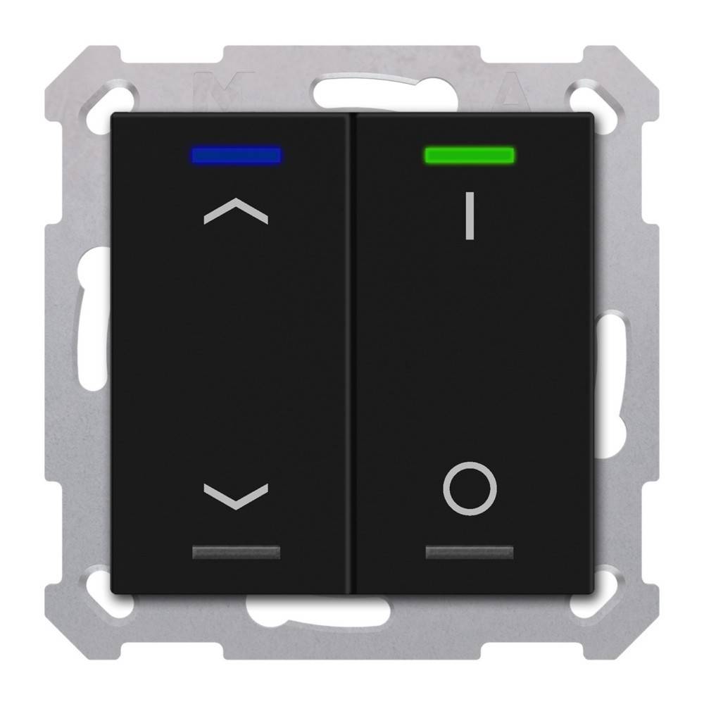 MDT technologies KNX Taster Light 55 2-fach BE-TAL55T206.C1