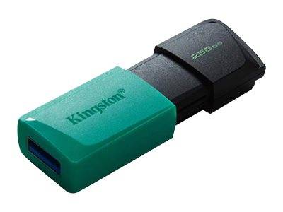 KINGSTON 256GB DataTraveler Exodia M Eingabe / Ausgabe USB-Stick