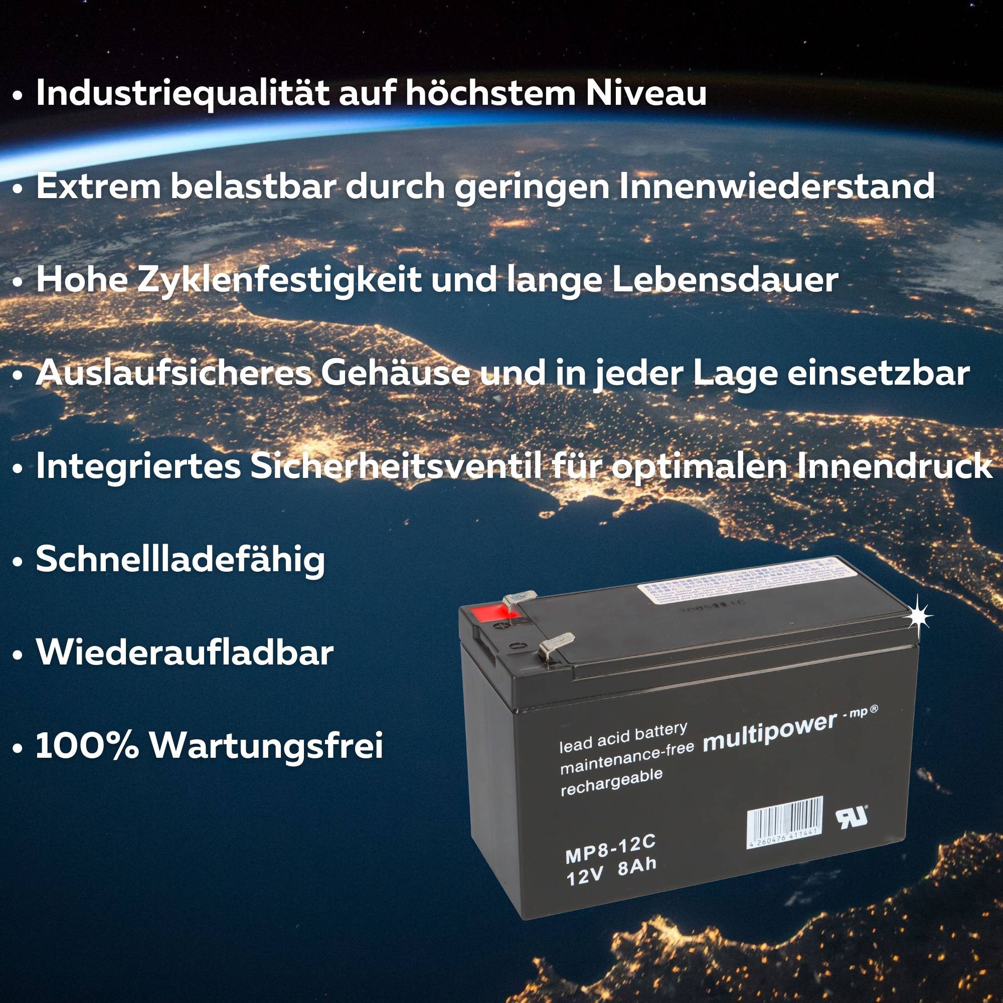 Ersatz-Akkusatz 2x 12V 8Ah für elektrischen Schneeschieber Powerpac ES230