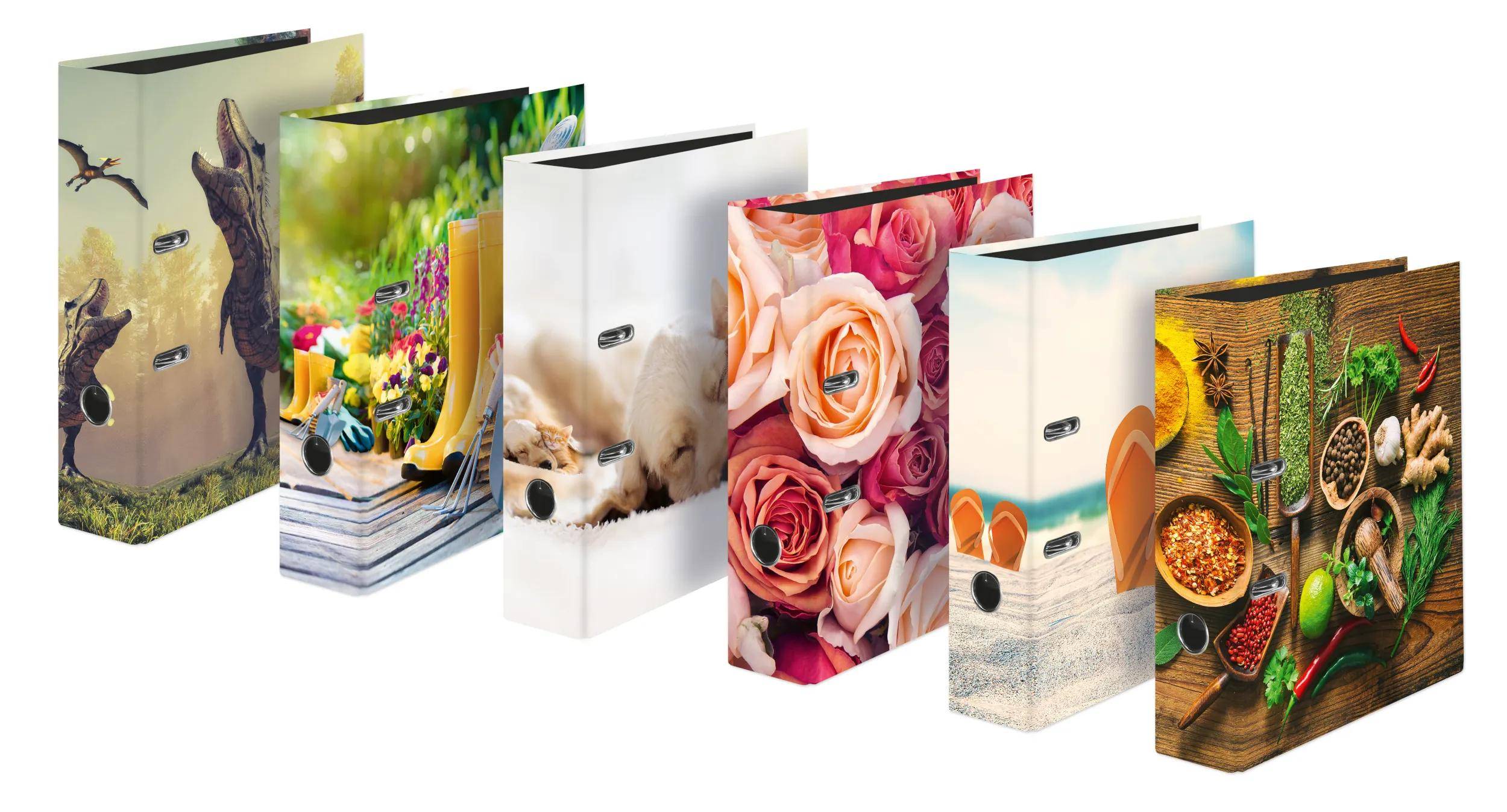 Falken 6x Motivordner Mix2023 A4 Rücken 8cm Griffloch Sortiert 22002024F