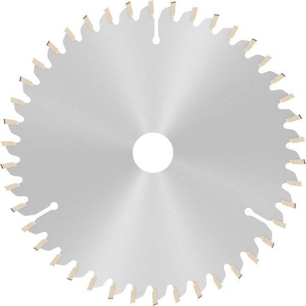 Eine Kreissägeblatt mit scharfen, gleichmäßig verteilten Zähnen entlang des Randes, verwendet zum Schneiden von Holz oder Metall.