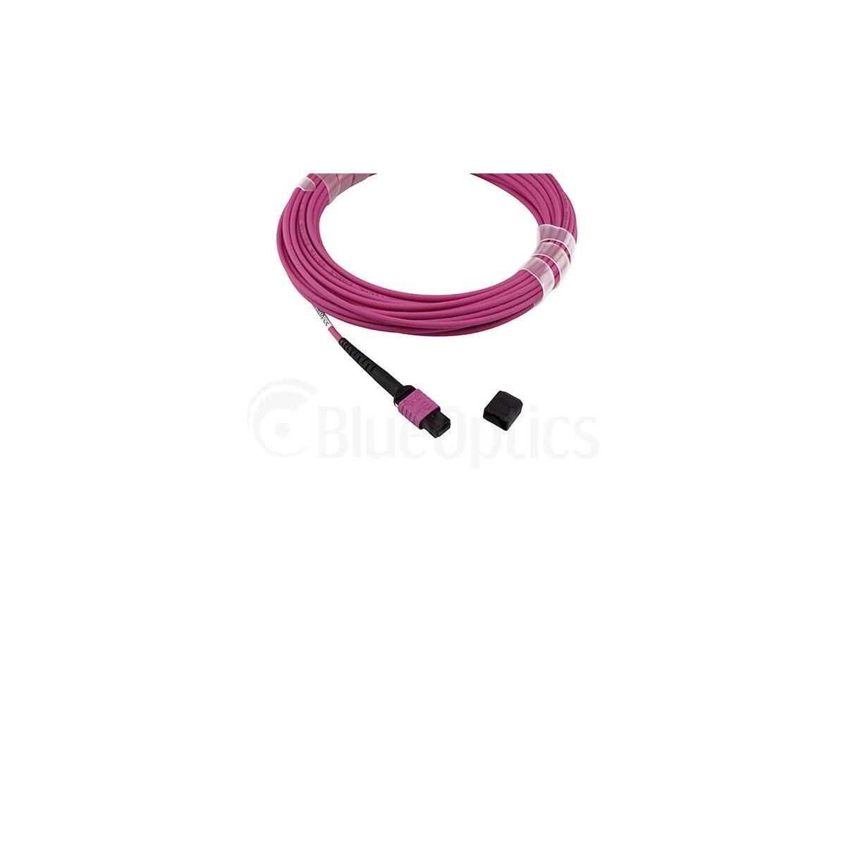 BLUEOPTICS - LWL MPO Trunkkabel OM4 12 Kerne 5 Meter Typ B