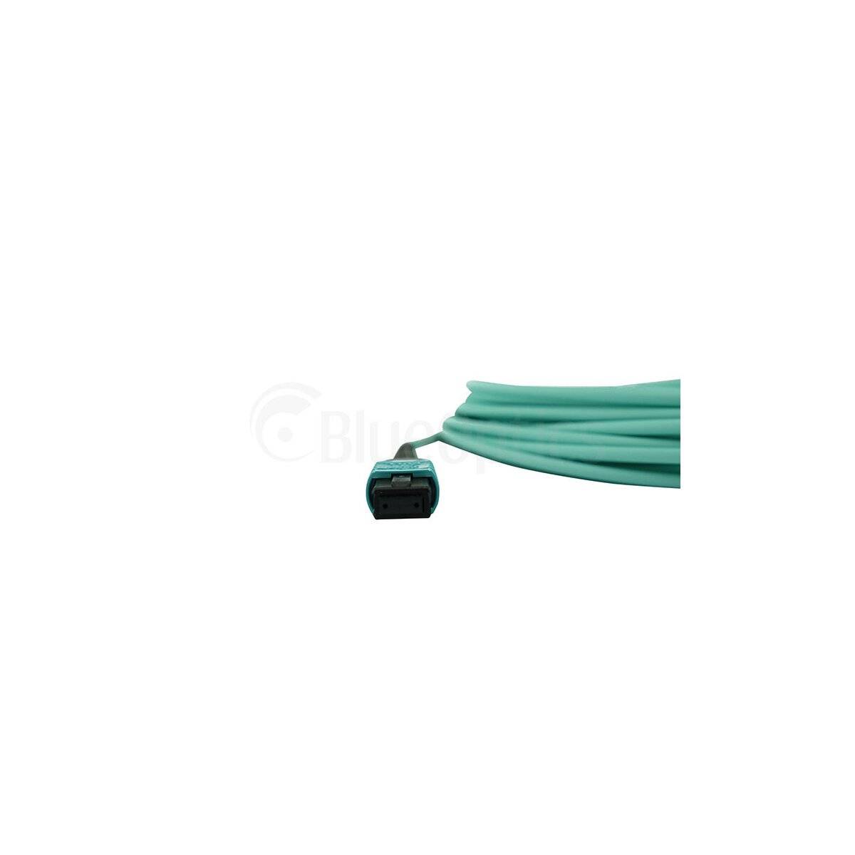 BLUEOPTICS - LWL MTP Trunkkabel OM3 12 Kerne 10 Meter Typ B
