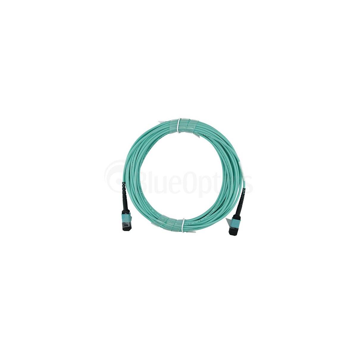 BLUEOPTICS - LWL MPO Trunkkabel OM3 12 Kerne 1 Meter Typ B