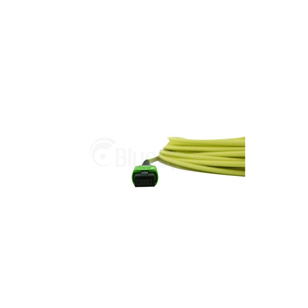 BLUEOPTICS - LWL MTP/4xLC Breakout Kabel G.657.A1 Singlemode 2 Meter