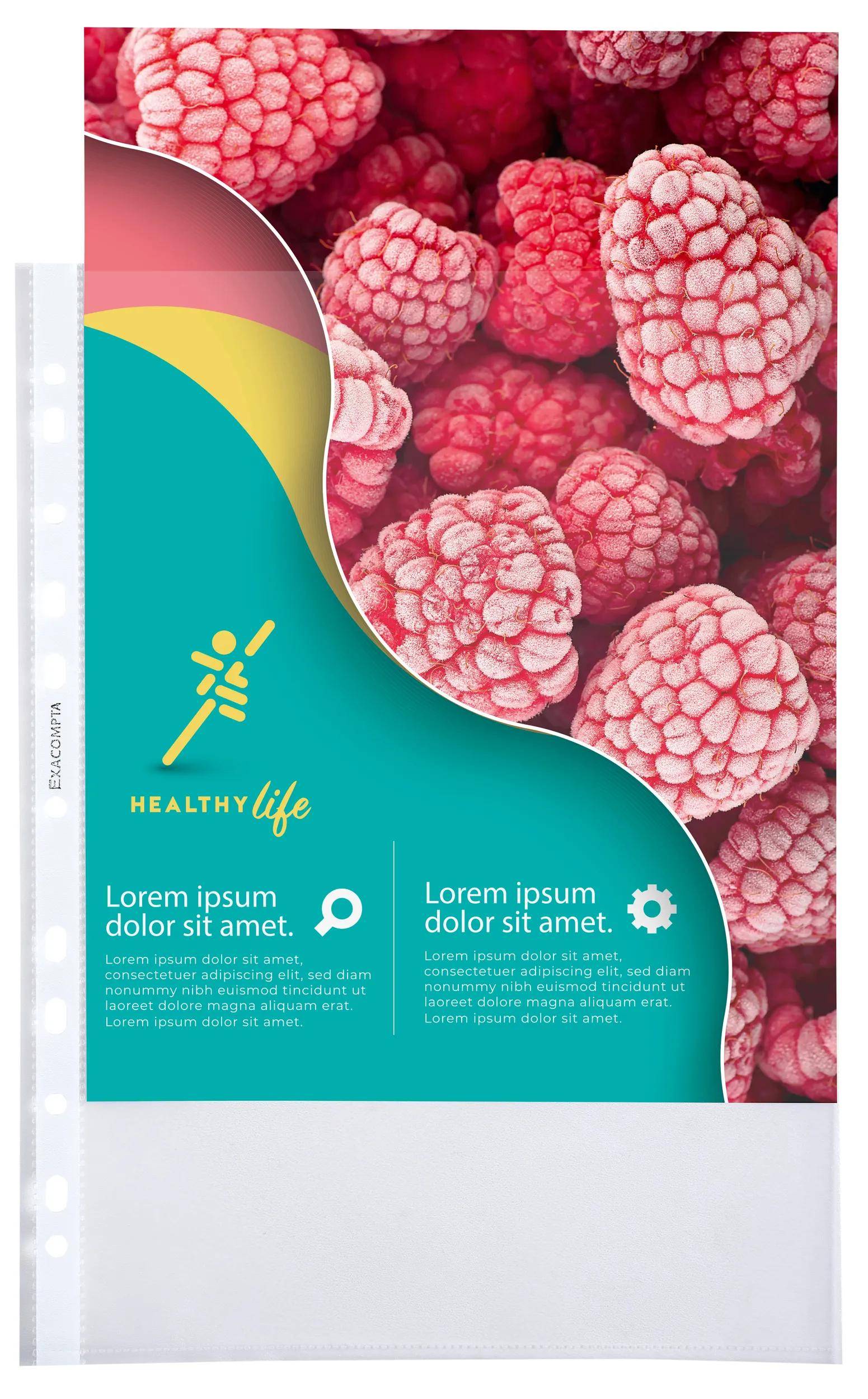 Exacompta 10x Pack 100 Prospekthüllen A4 PP genarbt hohe Qualität Kristall 5760E