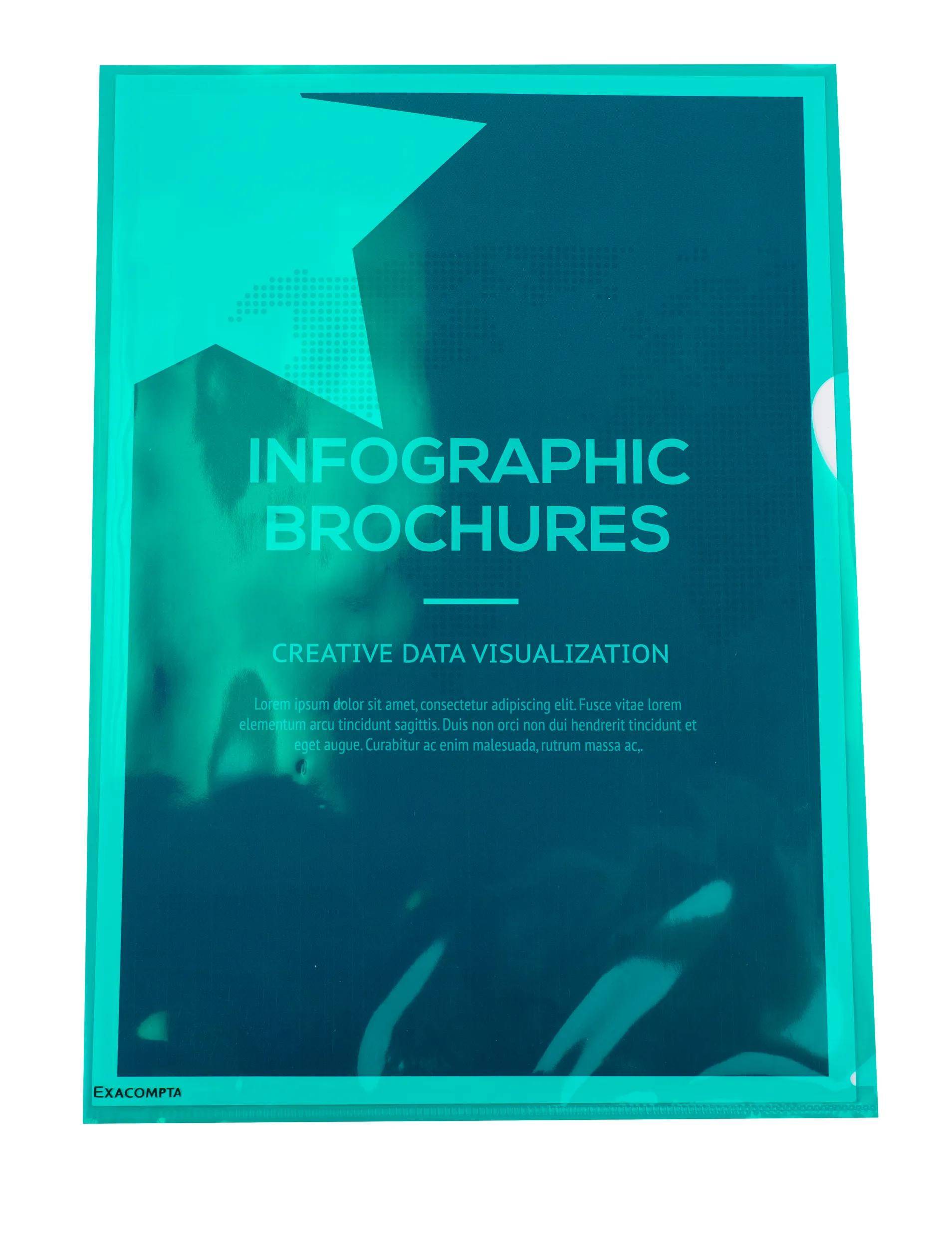 Exacompta 10x Pack 100 Sichthüllen A4 PP glatt Premium-Qualität sortiert 56121E