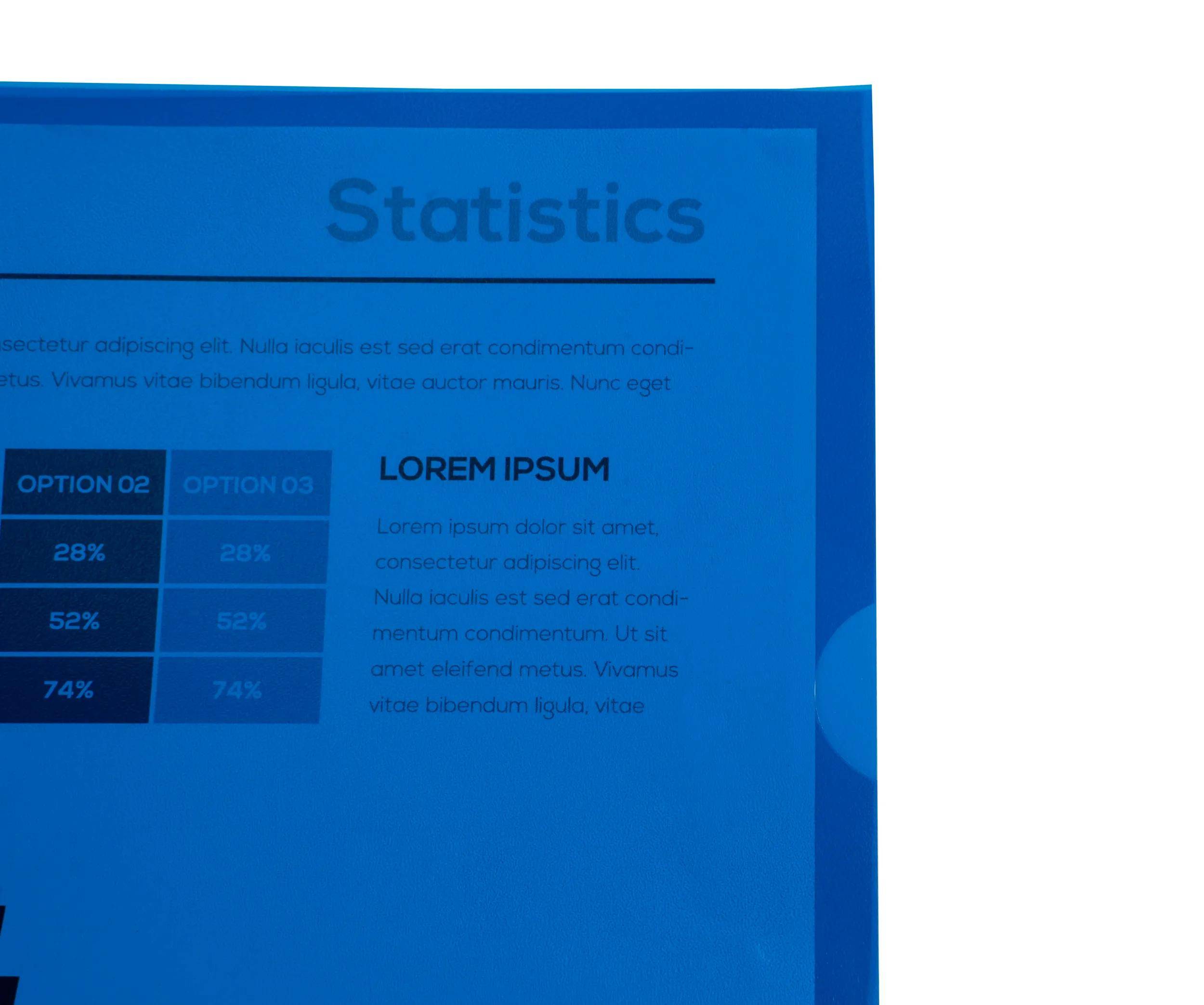 Exacompta 10x Pack 100 Sichthüllen A4 PP genarbt ökonomisch sortiert 57119E