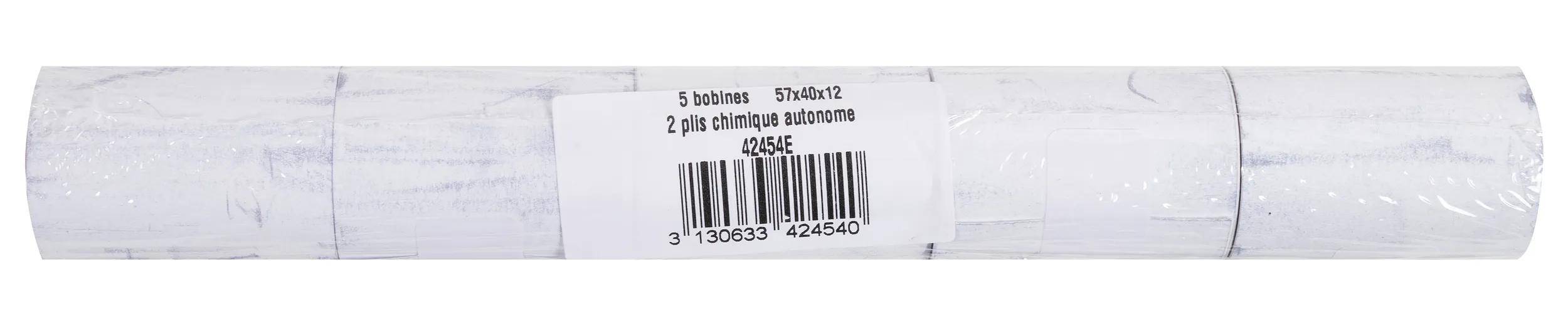 Exacompta 20x Rolle 2-lagig Kartenzahlung 60g B:57mm Kern 12mm L:10m Weiß 42454E
