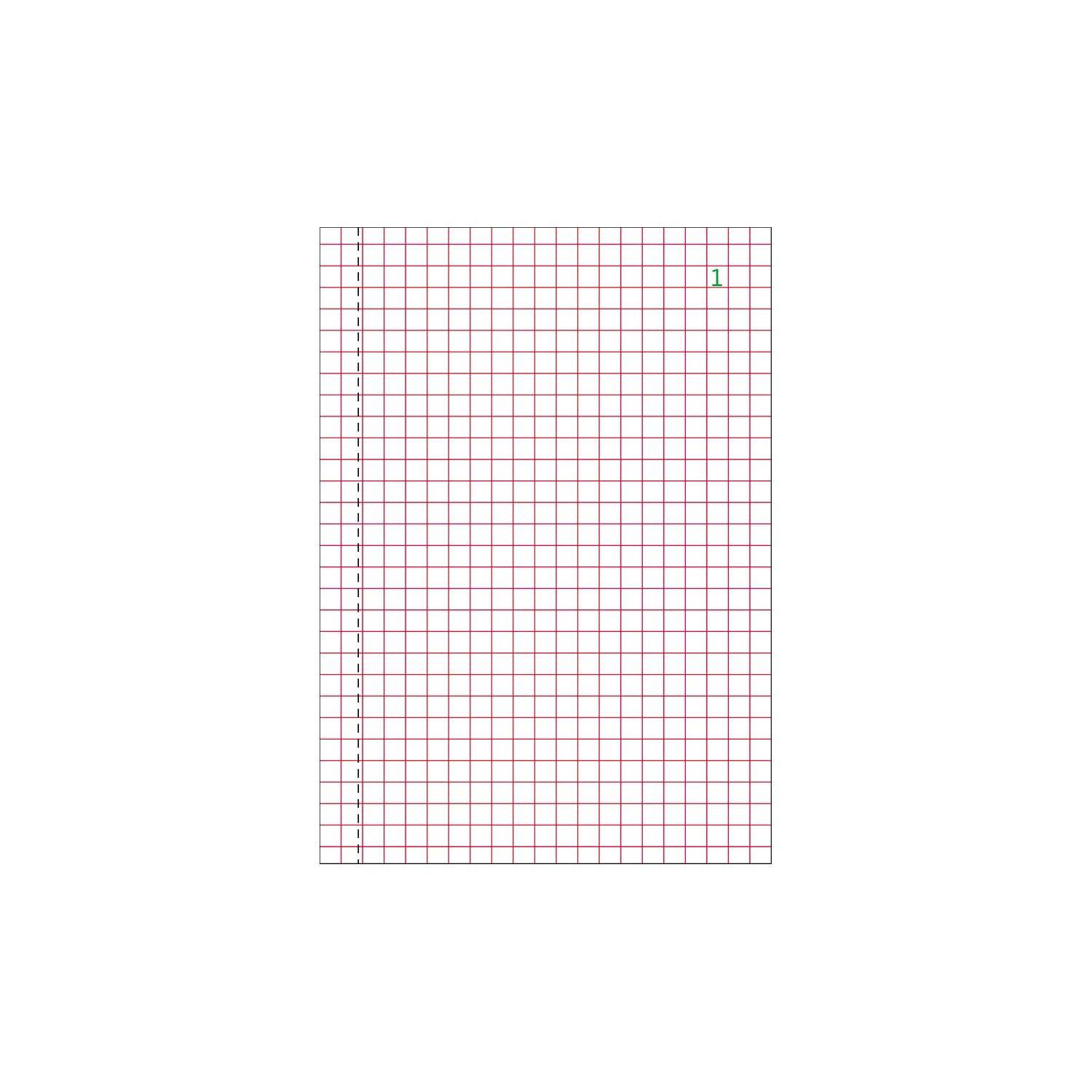 Exacompta 10x Durchschreibebuch A6 kariert 50 Blatt, dreifache Ausführung, 3241E
