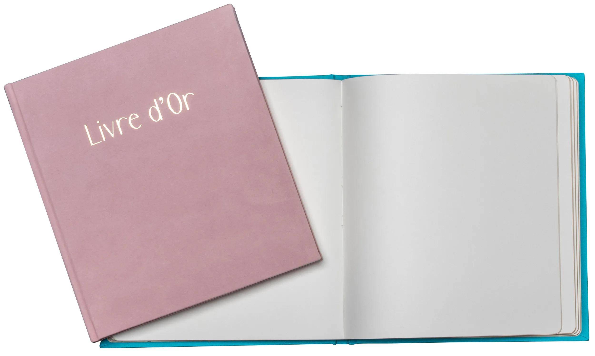 Exacompta Gästebuch, 140 Seiten, Goldschnitt, Skandi - Nude - 388E