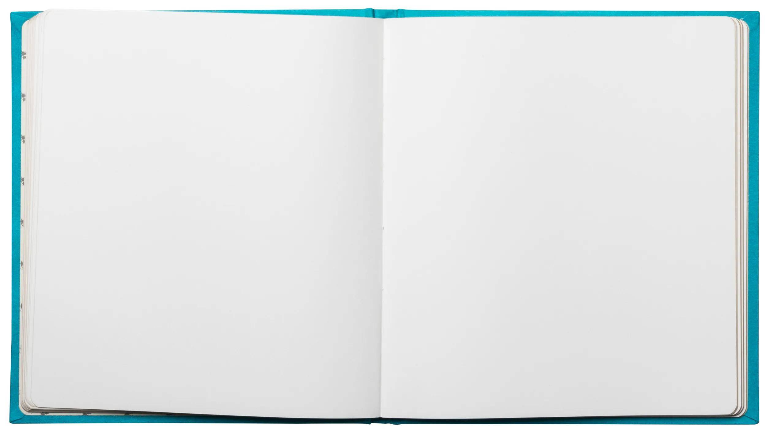 Exacompta Gästebuch, 140 Seiten, Goldschnitt, Skandi - Türkis - 389E