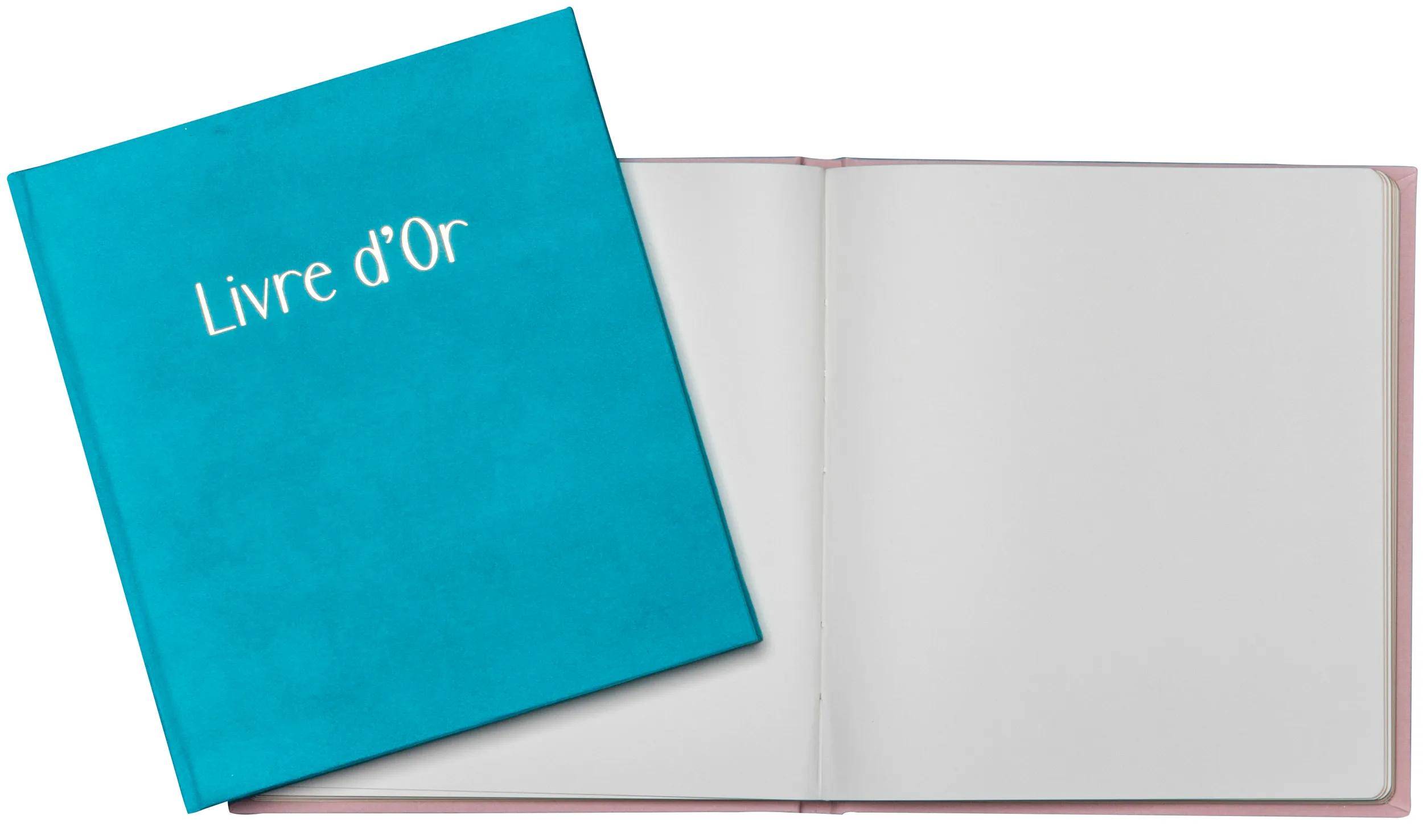 Exacompta Gästebuch, 140 Seiten, Goldschnitt, Skandi - Türkis - 389E